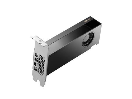 NVIDIA RTX 2000 ADA 16 GB 4MDP GRAPHICS