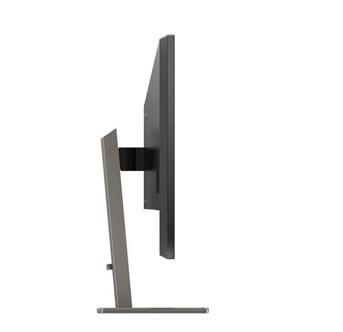 Philips P Line 439P1/00 Monitor PC 108 cm (42.5