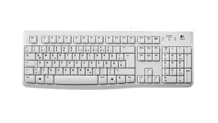 KEYBOARD K120 F/ BUSINESS OEM USB WHITE
