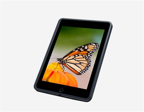 RUGGED COMBO 3 CLASSIC BLUE PAN WW