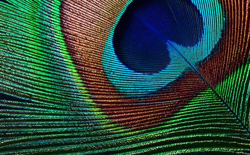 EH-TW7000 40000: 1 USB/HDMI 16:9