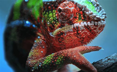 EH-TW7100 HOME CINEMA 4K PRO UHD SUPER RESOLUTION 16:9 FU