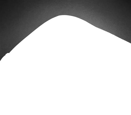 PROF 15.6 LAPTOP BAG