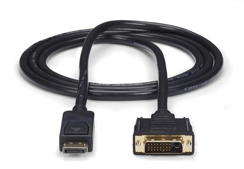 StarTech.com DP2DVI2MM6 cavo e adattatore video DVI-D Nero