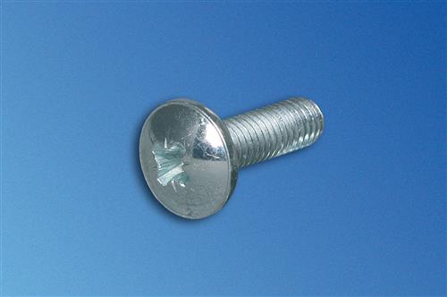 SCREW OH PHL M5X10MM FORM Z .