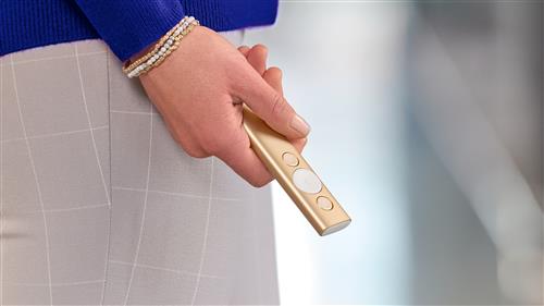 SPOTLIGHT PRESENTATION REMOTE GOLD