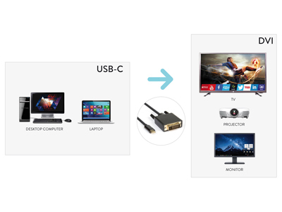 Hamlet XVAUC-DV4K20 cavo e adattatore video 2 m USB tipo-C DVI Nero