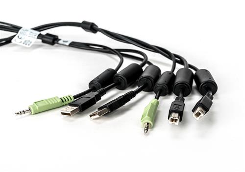 CABLEASSY2USB 1 AUDIO10FT SCKM145