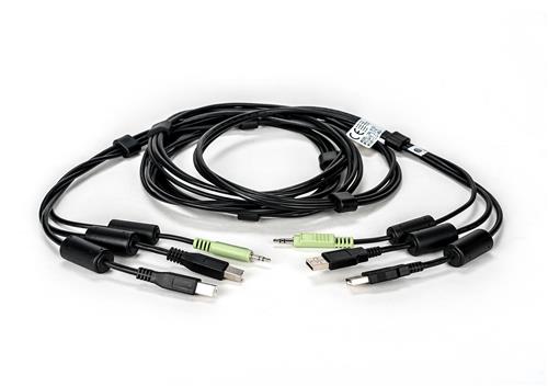 CABLEASSY2USB 1 AUDIO10FT SCKM145