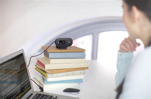 Logitech C505e webcam 1280 x 720 Pixel USB Nero