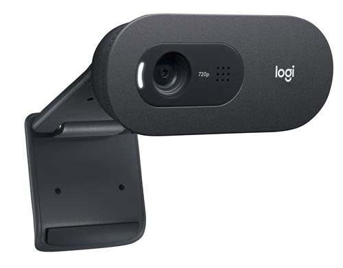 Logitech C505e webcam 1280 x 720 Pixel USB Nero