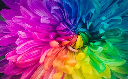 EF-12 FULL HD 2500000: 1 USB