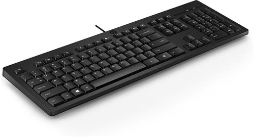 HP 125 Wired Keyboard tastiera USB Nero