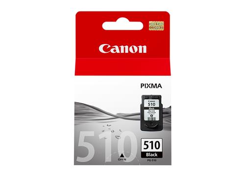 Canon 2970B001 cartuccia d'inchiostro 1 pz Originale Nero per foto