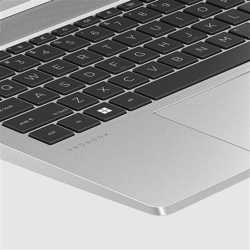 HP ProBook 455 G10 AMD Ryzen 5 7530U Computer portatile 39,6 cm (15.6) Full HD 16 GB DDR4-SDRAM 512 GB SSD Wi-Fi 6E (802.11ax) Windows 11 Pro Argento