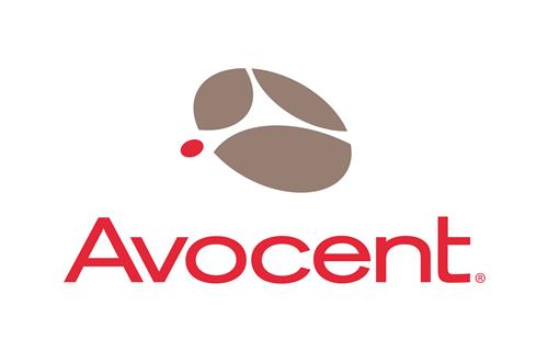 4Y SLV HW MAINTENANCE AV