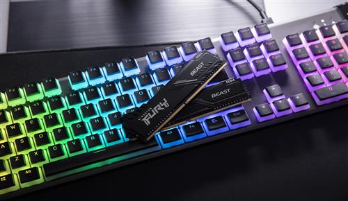 Kingston Technology FURY Beast memoria 1 x 8 GB 1600 MHz