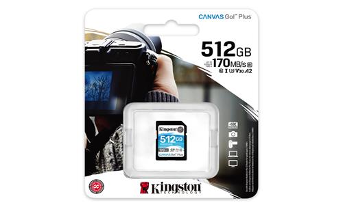 Kingston Technology Canvas Go! Plus SD Classe 10