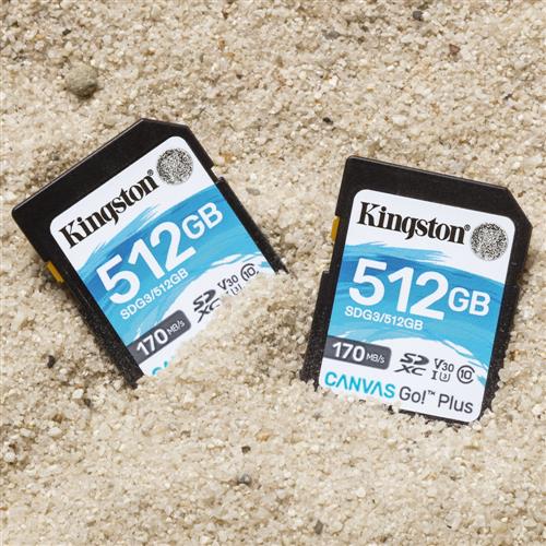 Kingston Technology Canvas Go! Plus SD Classe 10
