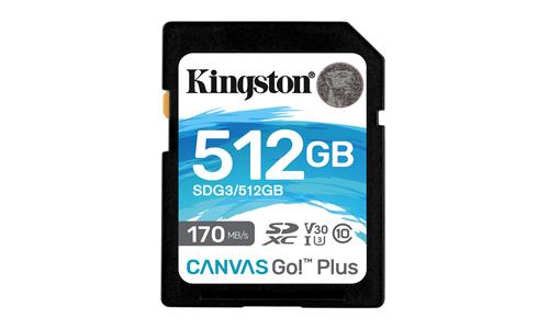 Kingston Technology Canvas Go! Plus SD Classe 10