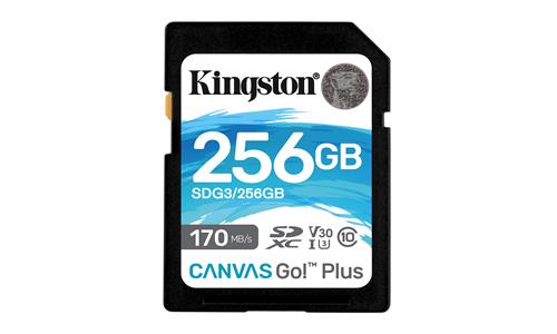 Kingston Technology Canvas Go! Plus SD Classe 10