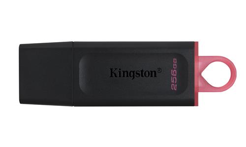 Kingston Technology DataTraveler Exodia unità flash USB 256 GB USB tipo A 3.2 Gen 1 (3.1 Gen 1) Nero, Rosa