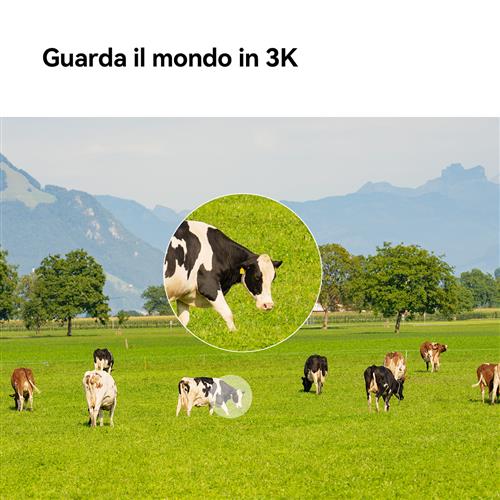 Imou Cruiser SC 4G 3MP Sferico Telecamera di sicurezza IP 2304 x 1296 Pixel Soffitto/muro