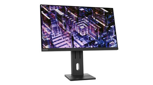 Lenovo ThinkVision E24q-30 Monitor PC 60,5 cm (23.8) 2560 x 1440 Pixel 2K Ultra HD LED Nero