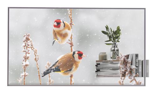 LG 55EW5P-M visualizzatore di messaggi 139,7 cm (55) OLED 600 cd/m² Full HD Argento Touch screen 18/7