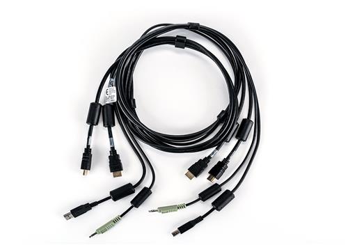 CABLEASSY2HDMI1USB 1 AUDIO10FT SC940H