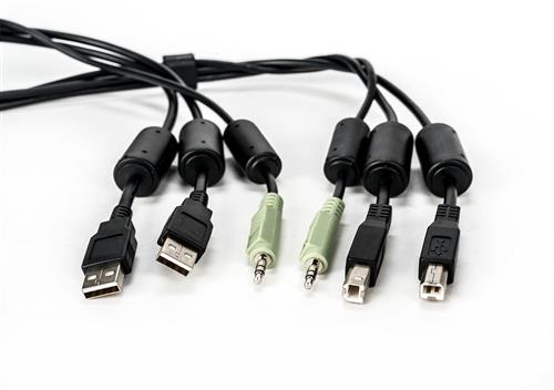 CABLEASSY2USB 1 AUDIO6FT SCKM145
