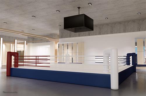 Neomounts NMPRO-CMB3 Supporto per display espositivi 139,7 cm (55) Nero