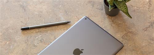 ZAGG 109907068 penna per PDA 16 g Nero, Grigio