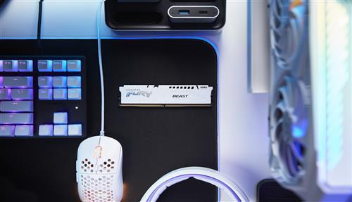 Kingston Technology FURY Beast 16GB 6400MT/s DDR5 CL32 DIMM White EXPO