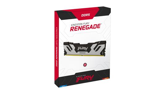 Kingston Technology FURY 16GB 7200MT/s DDR5 CL38 DIMM Renegade Silver XMP