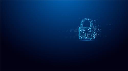 Kingston Technology IronKey 16GB Vault Privacy 50 crittografia AES-256, FIPS 197