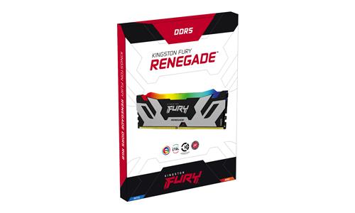 Kingston Technology FURY 24GB 8000MT/s DDR5 CL38 DIMM Renegade RGB Silver