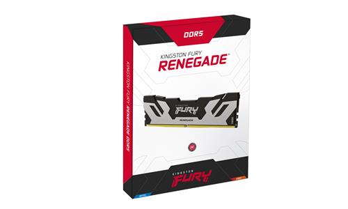 Kingston Technology FURY 24GB 8000MT/s DDR5 CL38 DIMM Renegade Silver