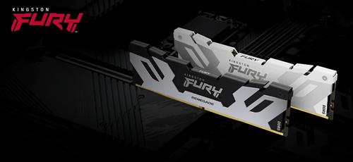 Kingston Technology FURY 24GB 8000MT/s DDR5 CL38 DIMM Renegade Silver