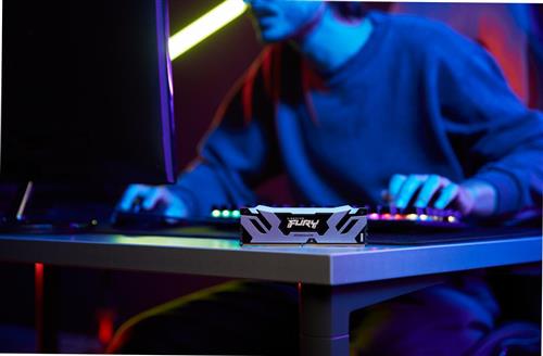 Kingston Technology FURY 24GB 8800MT/s DDR5 CL42 CUDIMM Renegade RGB Silver