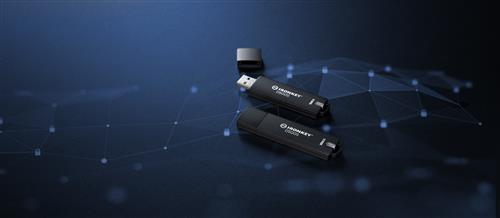 Kingston Technology IronKey 256GB D500S FIPS 140-3 Lvl 3 AES-256