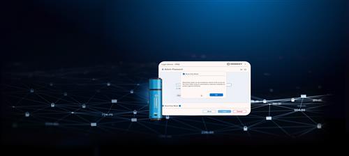 Kingston Technology IronKey 256GB Vault Privacy 50 crittografia AES-256, FIPS 197