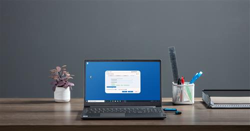 Kingston Technology IronKey 256GB Vault Privacy 50 crittografia AES-256, FIPS 197