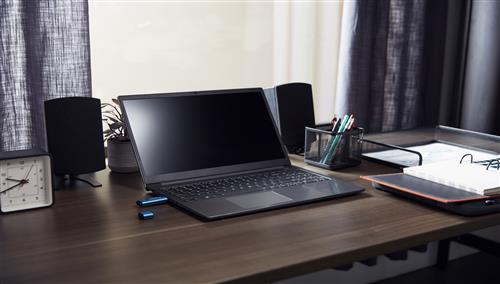 256GB USB-C IRONKEY VAULT P 50C AES-256 ENCRYPTED FIPS 197