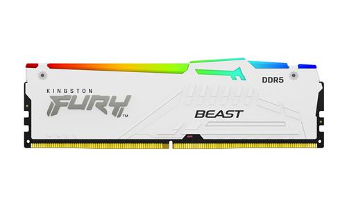 64GB DDR5-5600MT/S CL36 DIMM (Kit of 2) Beast White RGB EXPO