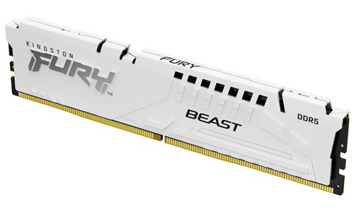 64GB DDR5-6000MT/S CL36 DIMM (Kit of 2) FURY Beast White EXPO