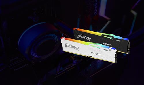 Kingston Technology FURY Beast 8 GB 5600 MT/s DDR5 CL40 DIMM RGB