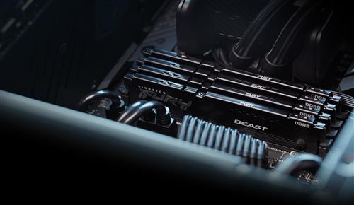 8GB DDR5-5600MTS CL40 DIMM FURY BEAST BLACK