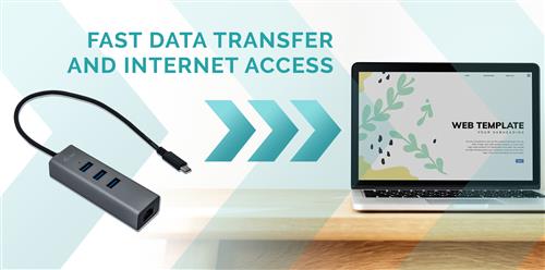 i-tec Metal C31METALG3HUB pannello drive bay Grigio