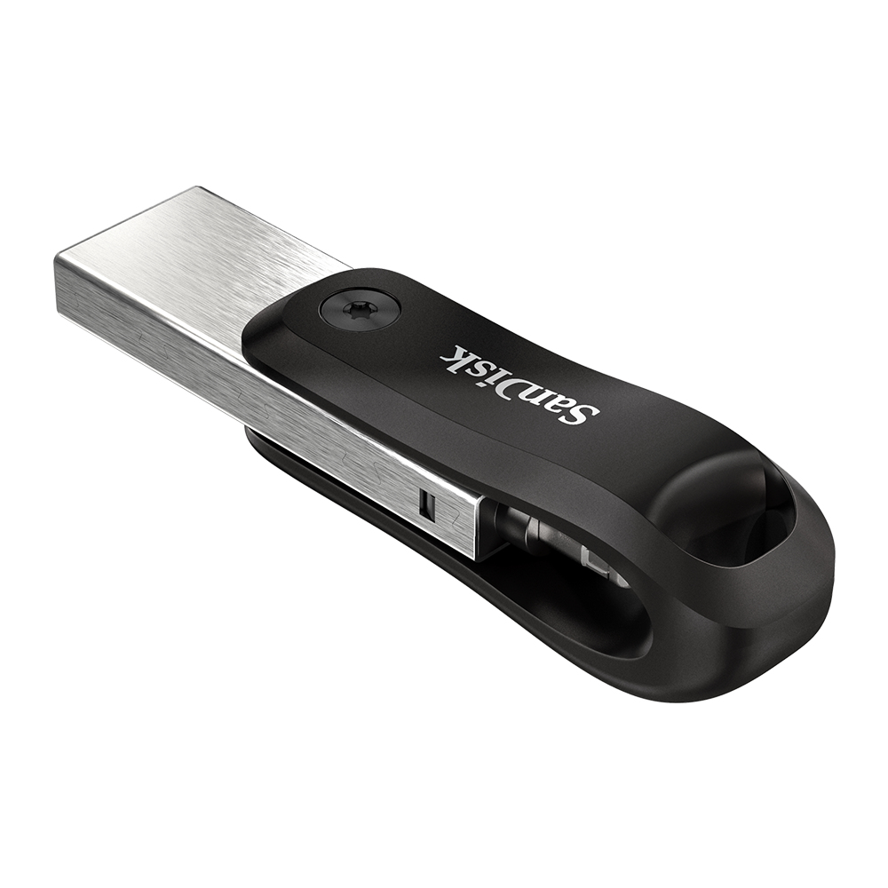 SanDisk SDIX60N-256G-GN6NE unità flash USB 256 GB 3.2 Gen 1 (3.1 Gen 1) Grigio, Argento